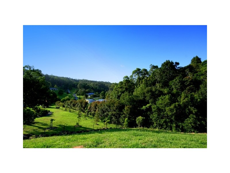 13 Des Quinlan Cr, Tallebudgera QLD 4228