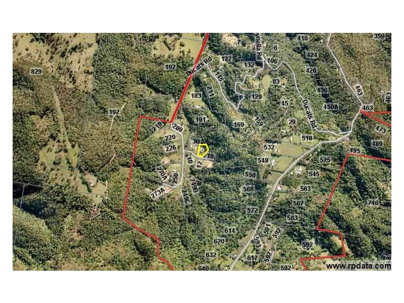 13 Des Quinlan Cr, Tallebudgera QLD 4228