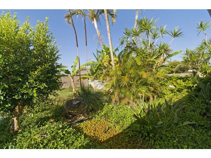 57 Japonica Drive, Palm Beach QLD 4221