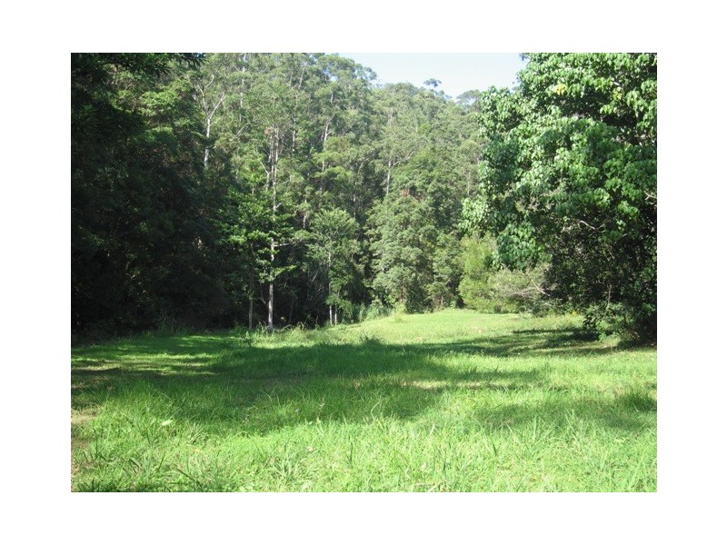 149 Petsch Creek Road, Tallebudgera Valley QLD 4228