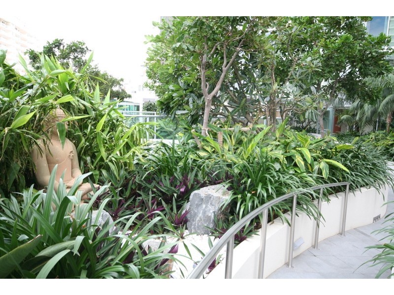 1707 / 110 Marine Parade, Coolangatta QLD 4225