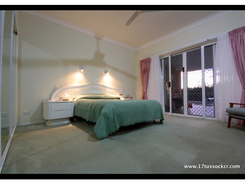 17 Tussock Crescent, Elanora QLD 4221