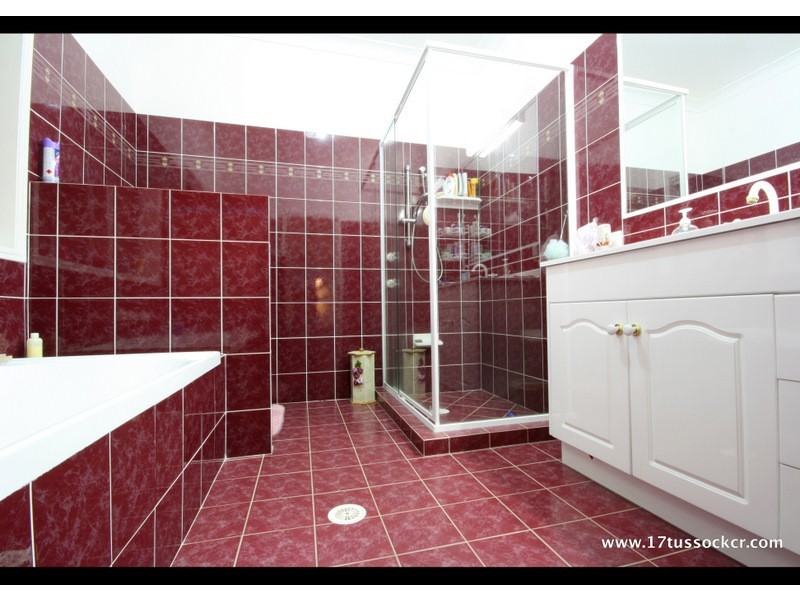 17 Tussock Crescent, Elanora QLD 4221