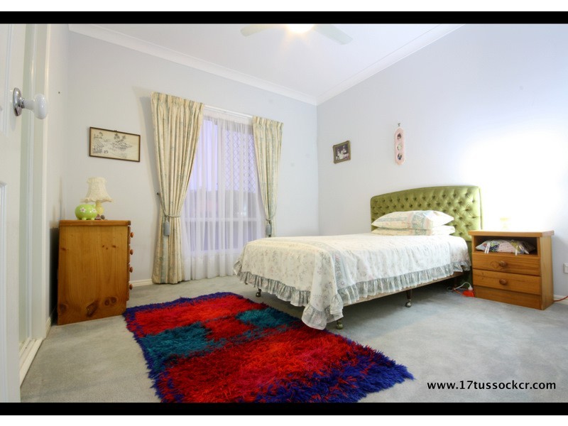 17 Tussock Crescent, Elanora QLD 4221