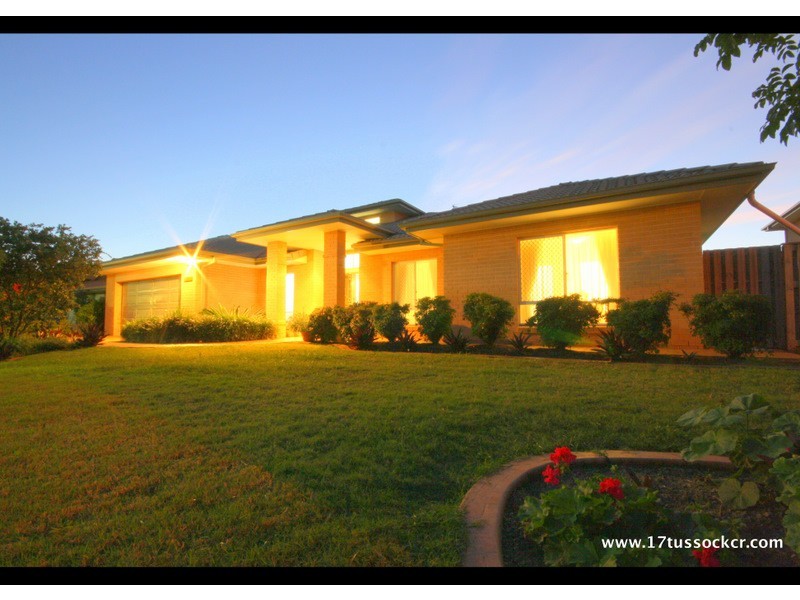 17 Tussock Crescent, Elanora QLD 4221