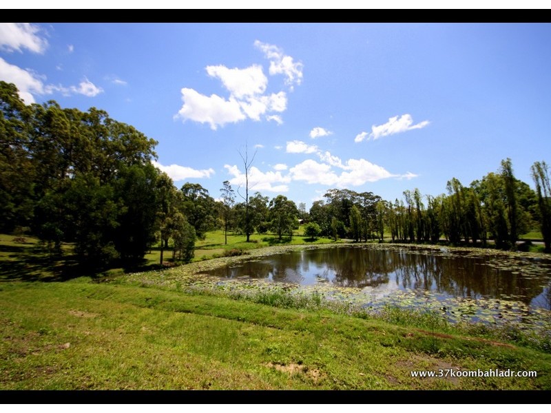 37 Koombahla Dr, Tallebudgera QLD 4228