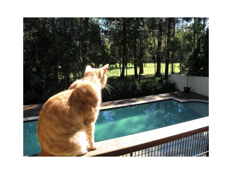 21 Corvus Way, Robina QLD 4226