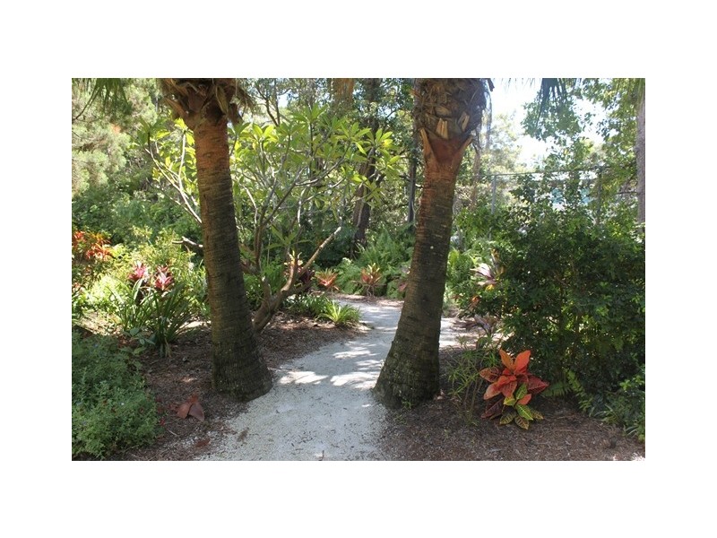 19 Burleigh Street, Burleigh Heads QLD 4220