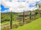 14 Fairy Wren Court, Bonogin QLD 4213