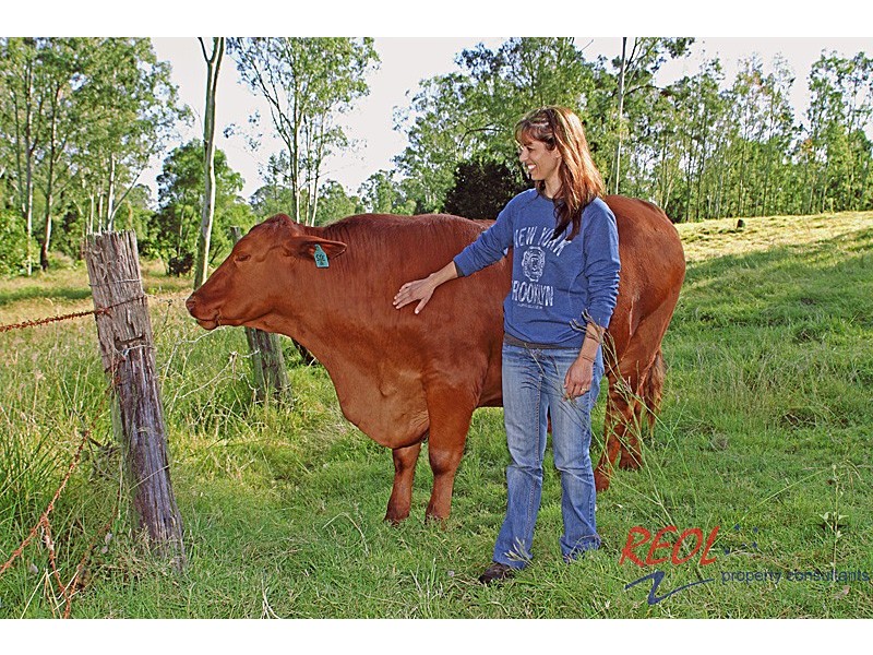 26 Crest Road, South Maclean QLD 4280