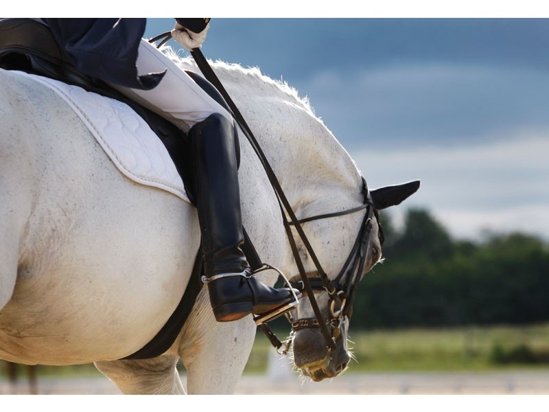 4 Alawara Drive, Tallai QLD 4213