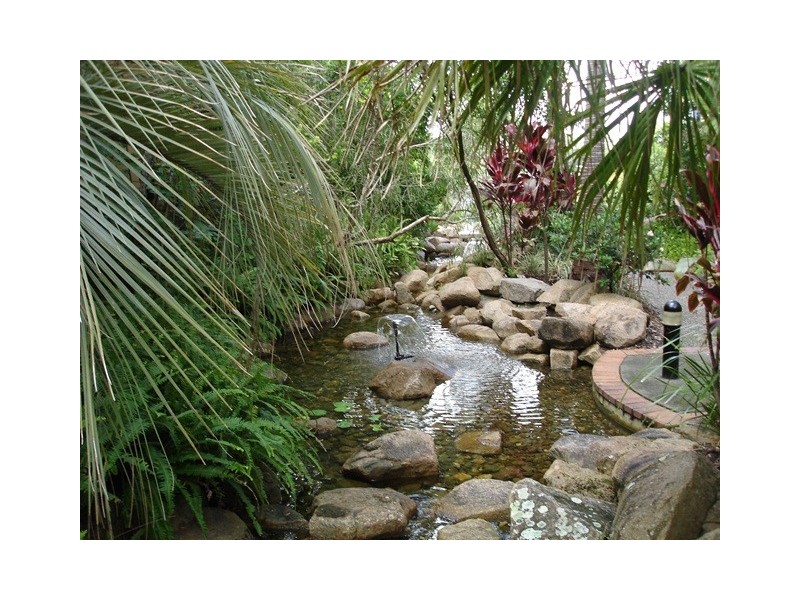 91/955 Gold Coast Highway, Palm Beach QLD 4221