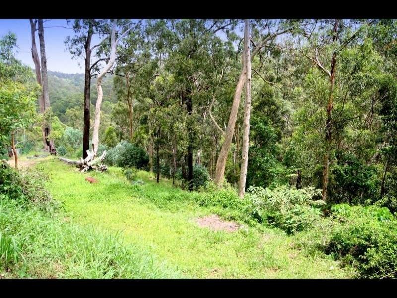 146 Nancol Drive, Tallebudgera Valley QLD 4228