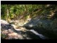 146 Nancol Drive, Tallebudgera Valley QLD 4228
