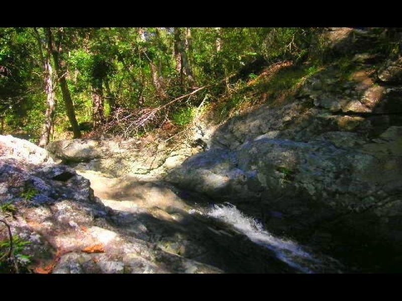 146 Nancol Drive, Tallebudgera Valley QLD 4228