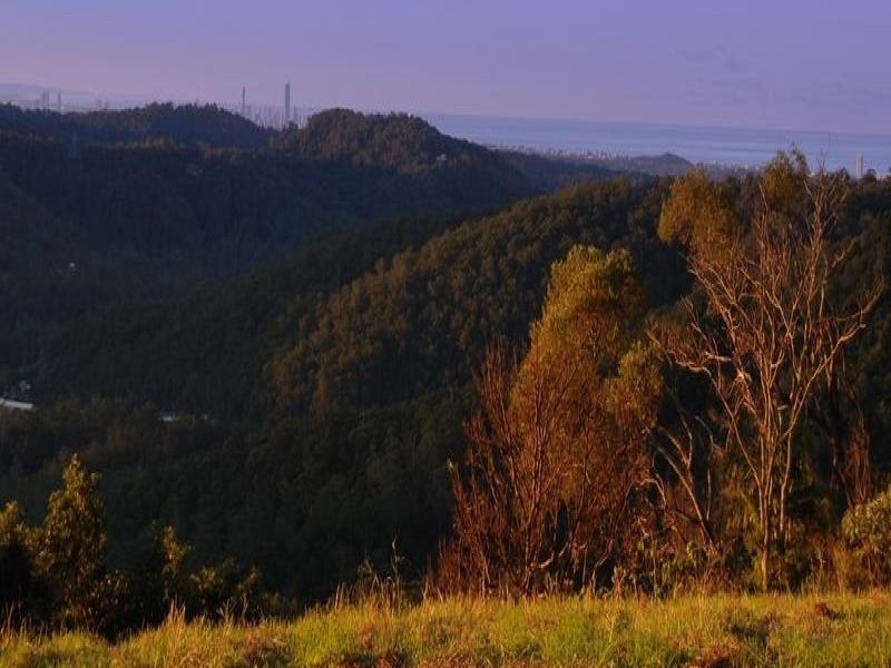 335 Petsch Creek Road, Tallebudgera Valley QLD 4228