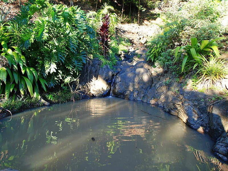 335 Petsch Creek Road, Tallebudgera Valley QLD 4228