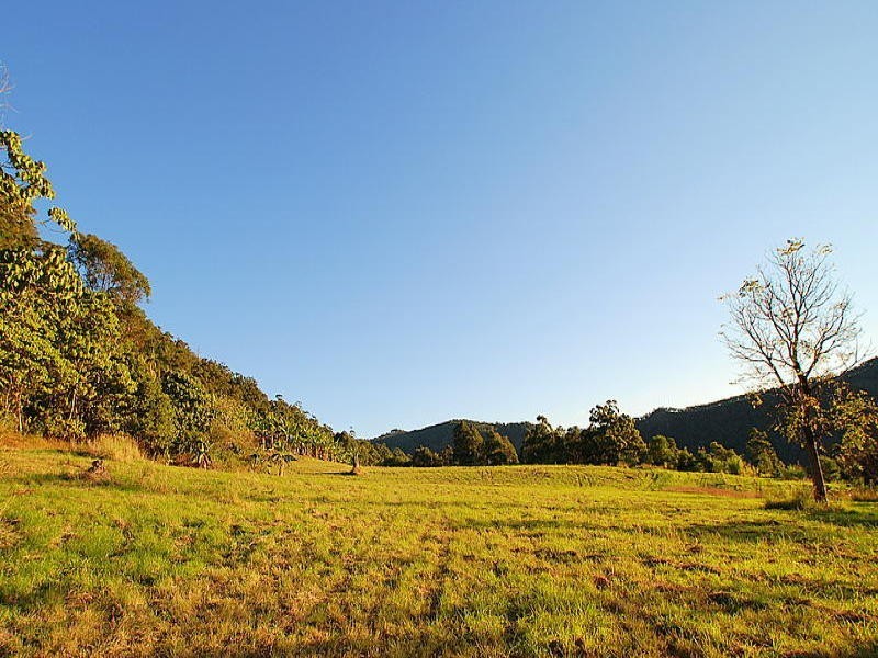 335 Petsch Creek Road, Tallebudgera Valley QLD 4228