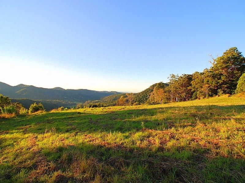 335 Petsch Creek Road, Tallebudgera Valley QLD 4228