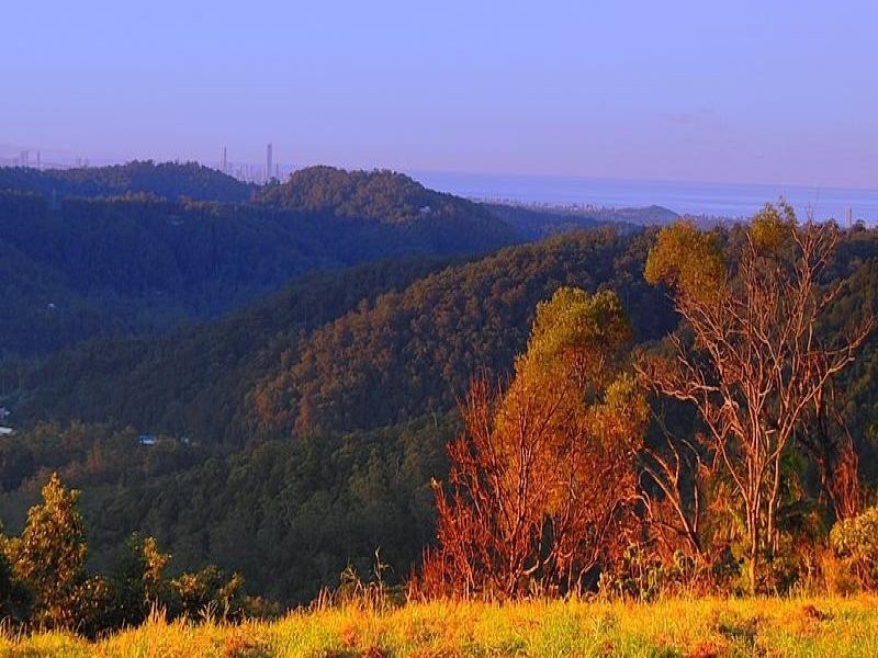 335 Petsch Creek Road, Tallebudgera Valley QLD 4228