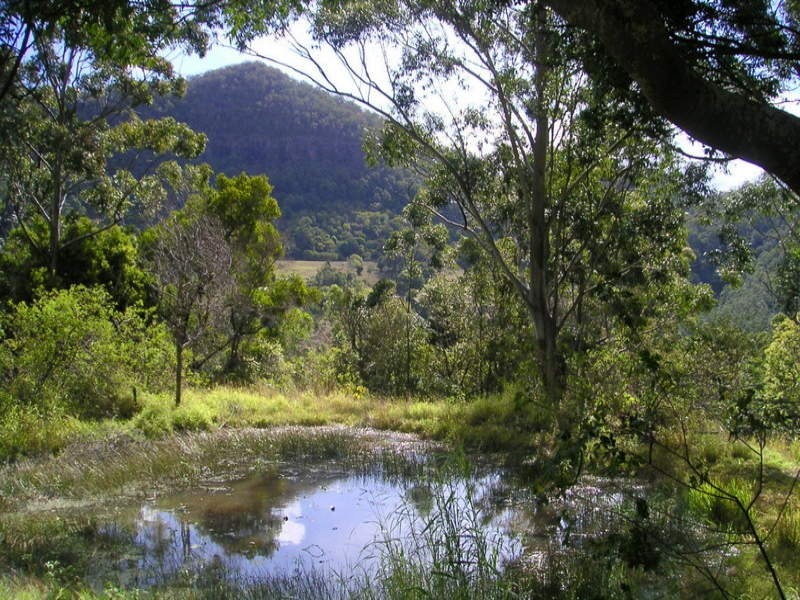 309 Petsch Creek Road, Tallebudgera Valley QLD 4228