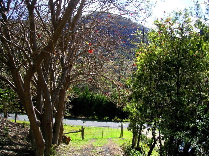 309 Petsch Creek Road, Tallebudgera Valley QLD 4228