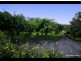 268 Tallebudgera Creek Road, Tallebudgera Valley QLD 4228