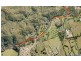 268 Tallebudgera Creek Road, Tallebudgera Valley QLD 4228