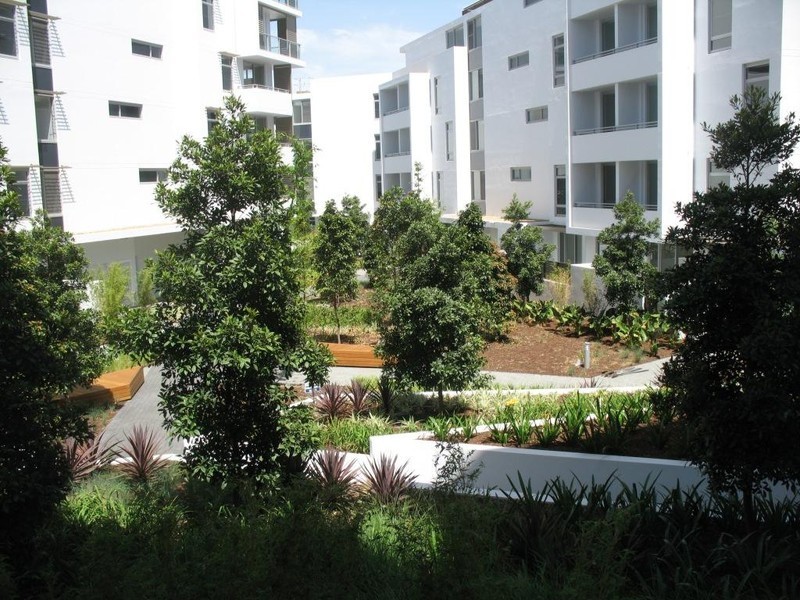 *LEASED* 203/12 Jean Wailes Ave, Rhodes NSW 2138