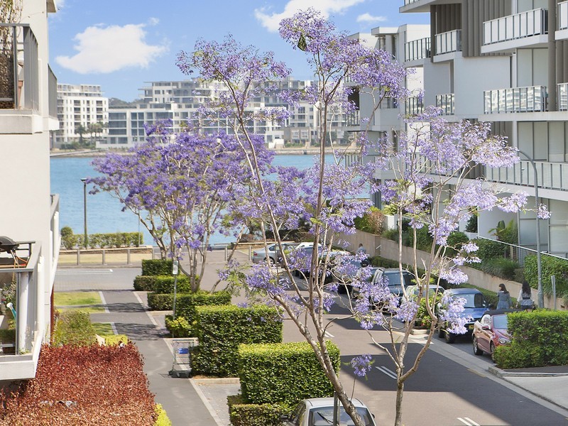 202/1 Jean Wailes Ave, Rhodes NSW 2138