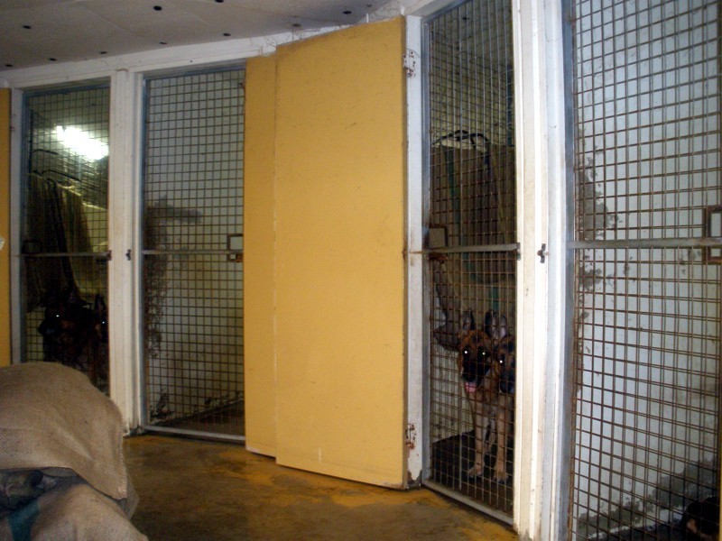 Redland Bay QLD 4165