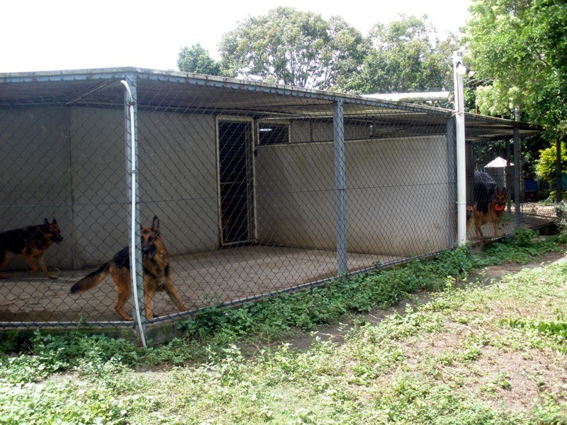 Redland Bay QLD 4165