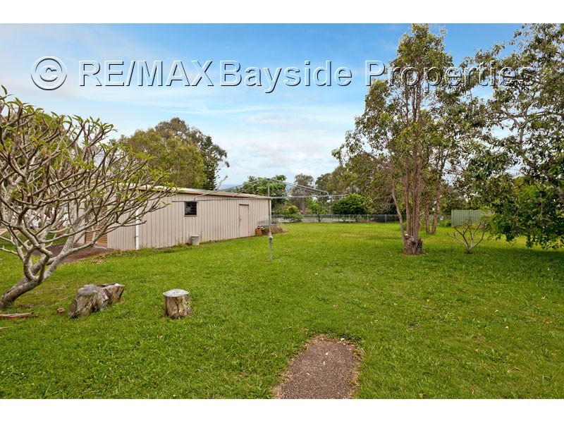 41 Whitehall Avenue, Birkdale QLD 4159
