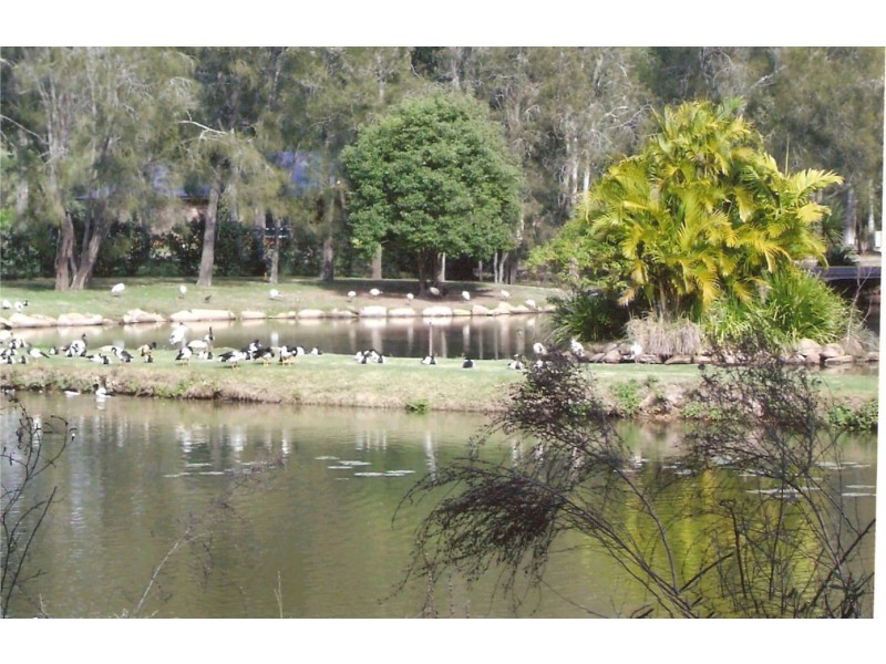 22/164 Wellington Street, Ormiston QLD 4160