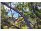 25 GEORGE NOTHLING DRIVE, Point Lookout QLD 4183