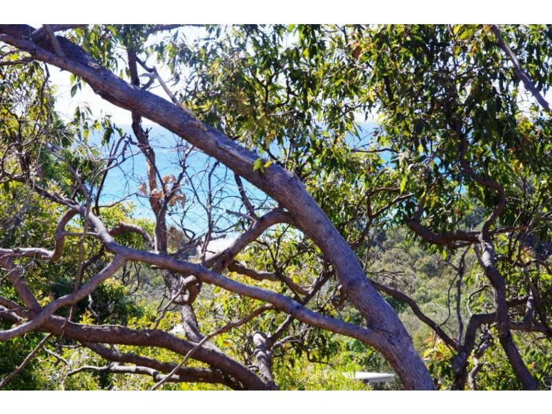 25 GEORGE NOTHLING DRIVE, Point Lookout QLD 4183