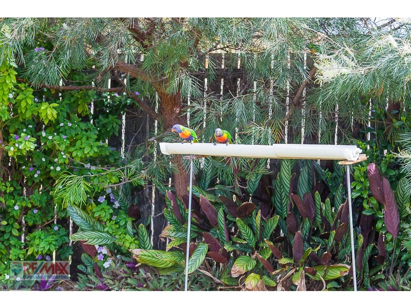1 Achterberg Place, Victoria Point QLD 4165
