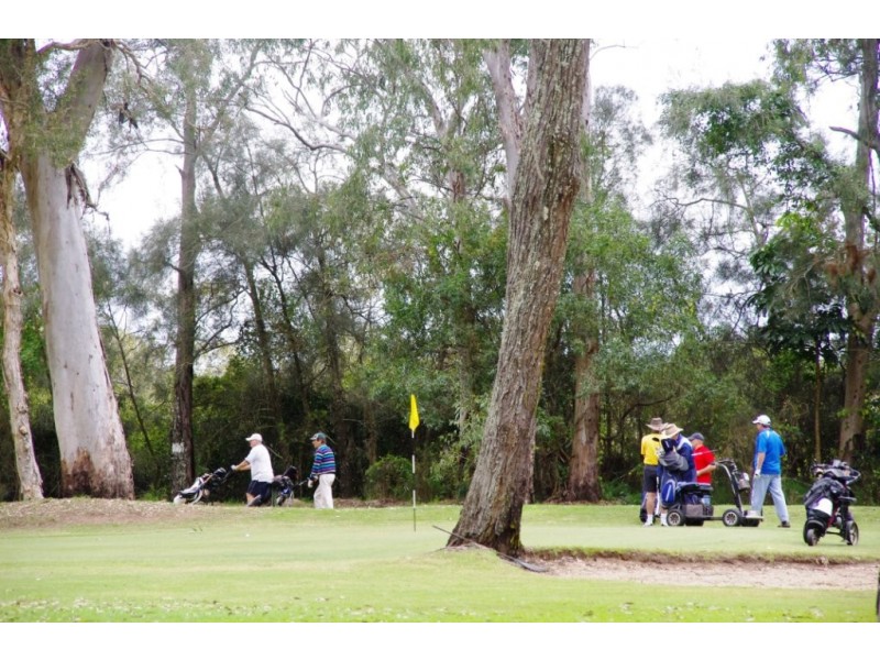 6 WILLIAMS STREET, Coochiemudlo Island QLD 4184