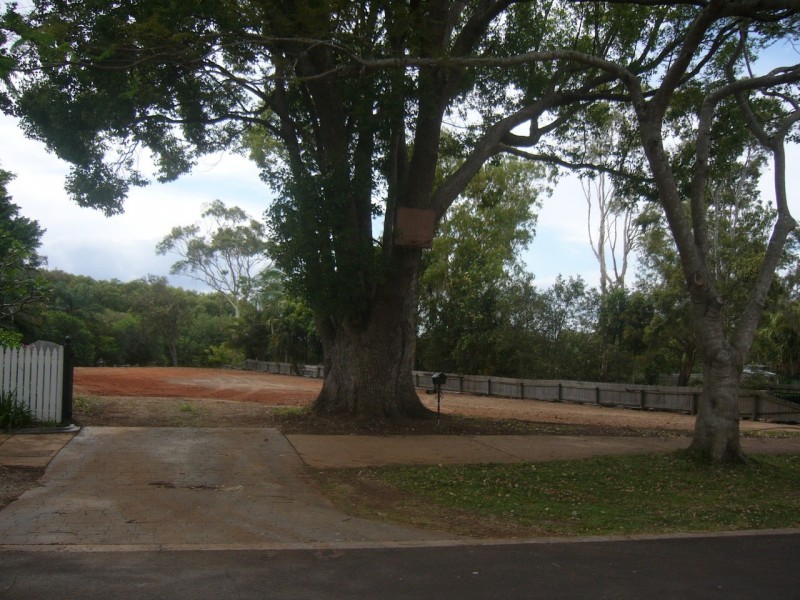 31 and 31a Erobin St, Cleveland QLD 4163