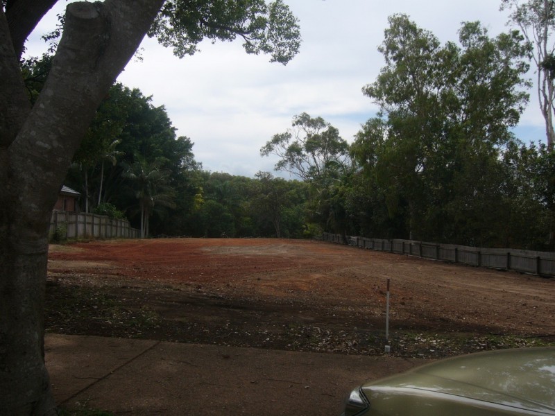 31 and 31a Erobin St, Cleveland QLD 4163