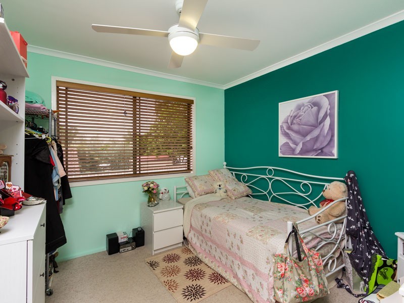 17 MERGOWIE DRIVE, Cleveland QLD 4163