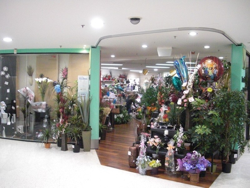 Mid Level Cnr Compton and Calam Roads, Sunnybank Hills QLD 4109
