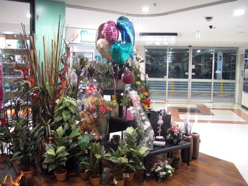 Mid Level Cnr Compton and Calam Roads, Sunnybank Hills QLD 4109