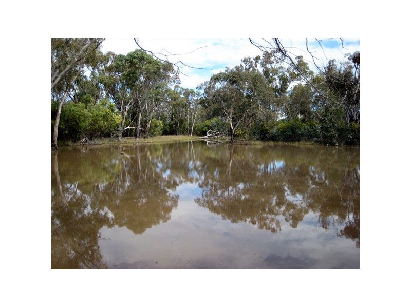 185 Orchard Road, Tara QLD 4421