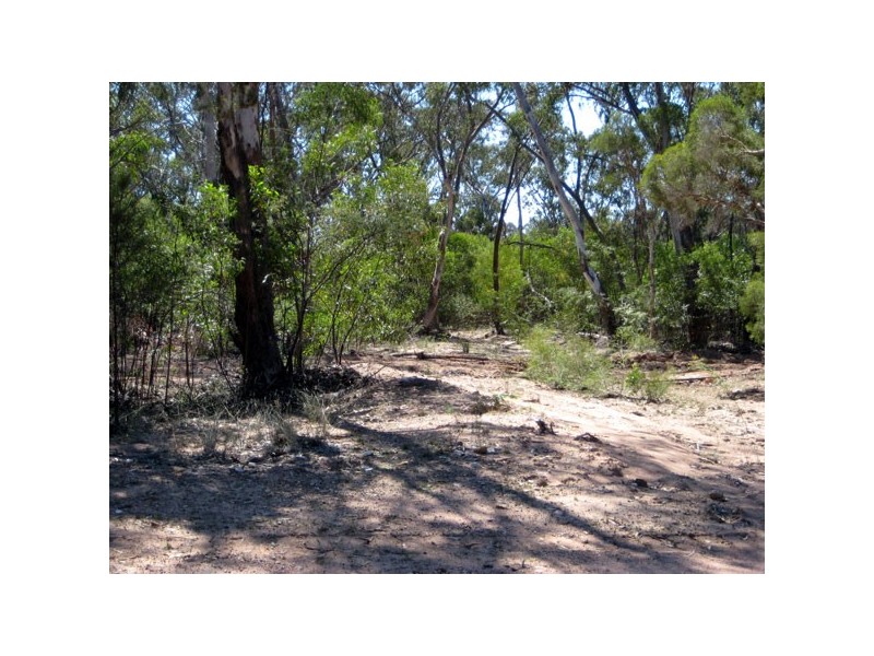 185 Orchard Road, Tara QLD 4421