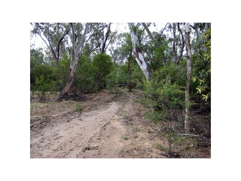 185 Orchard Road, Tara QLD 4421