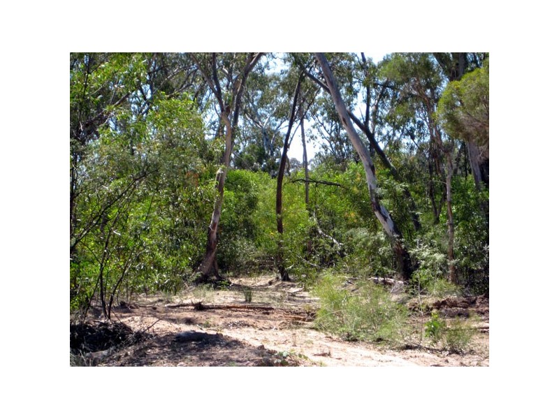 185 Orchard Road, Tara QLD 4421