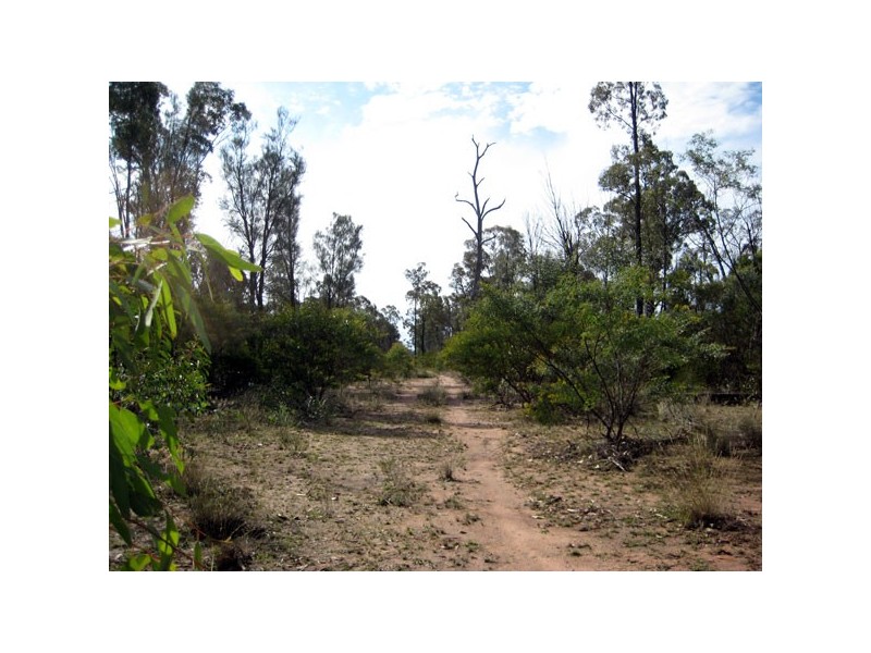 185 Orchard Road, Tara QLD 4421