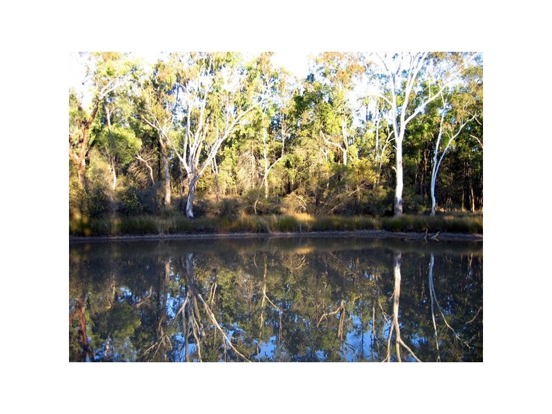 Tara QLD 4421