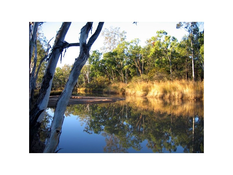 Tara QLD 4421